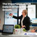 The Importance of B2B Data in Driving Business Growth